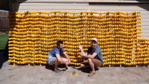 World's Largest Lemon Battery